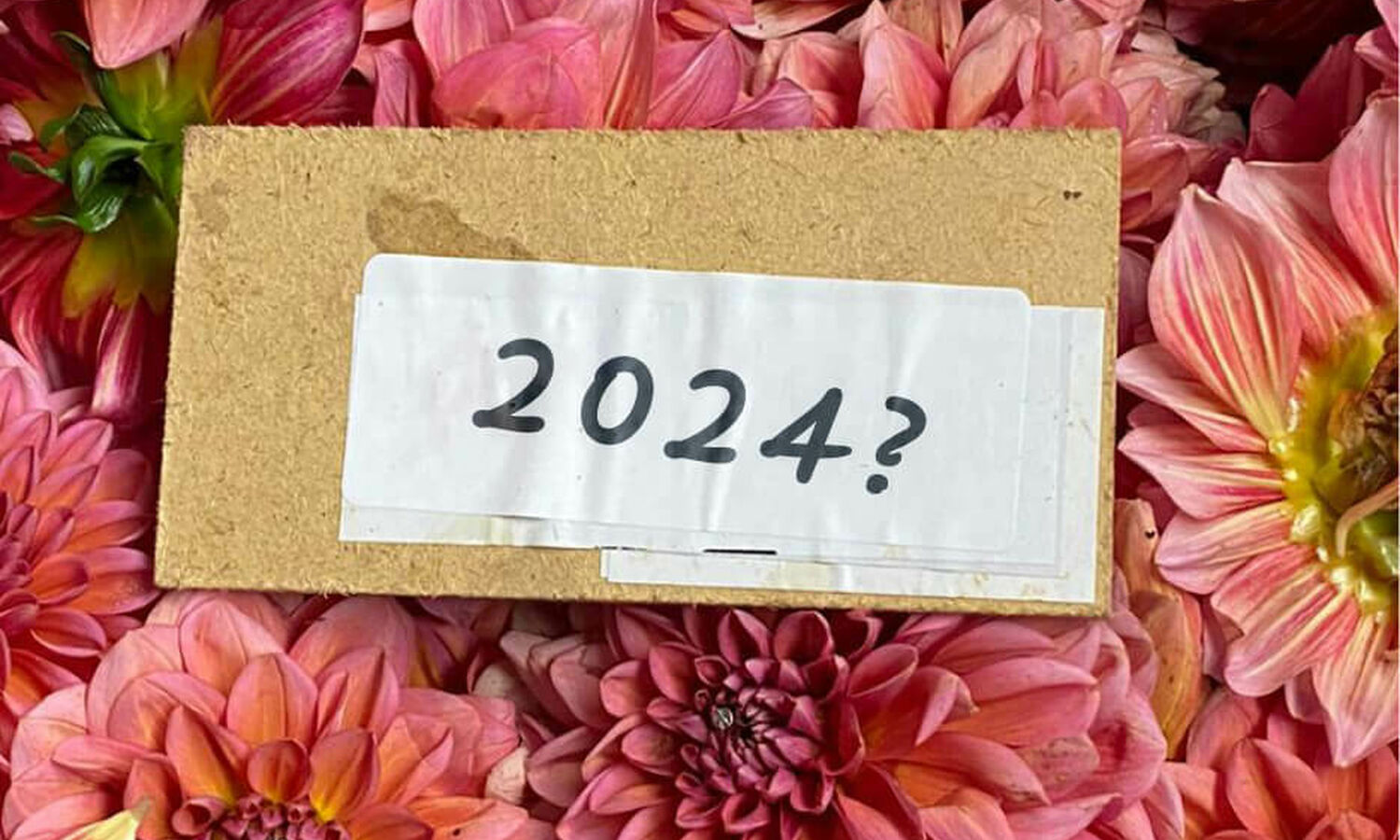 Ontwerper gezocht 2024