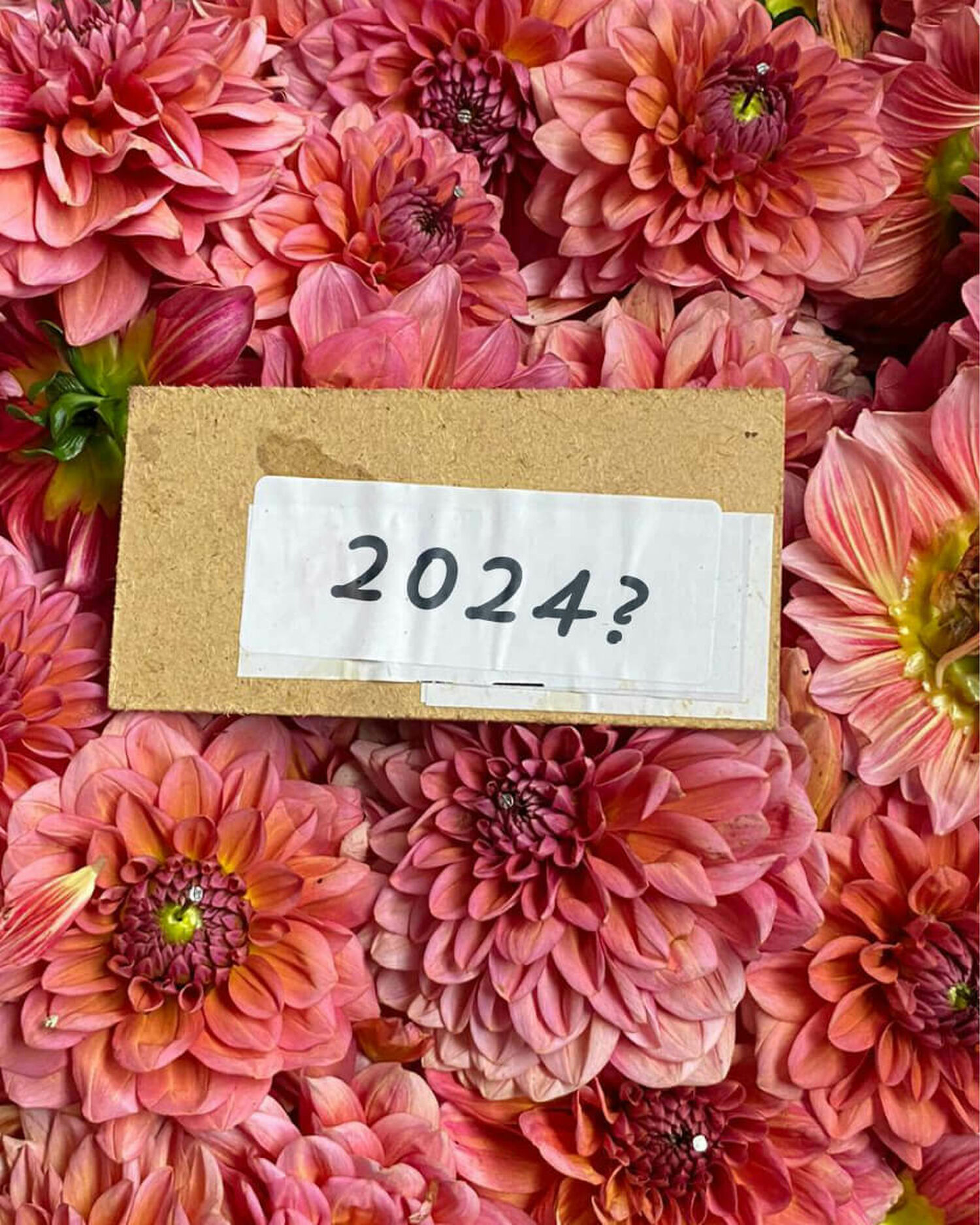 Ontwerper gezocht 2024