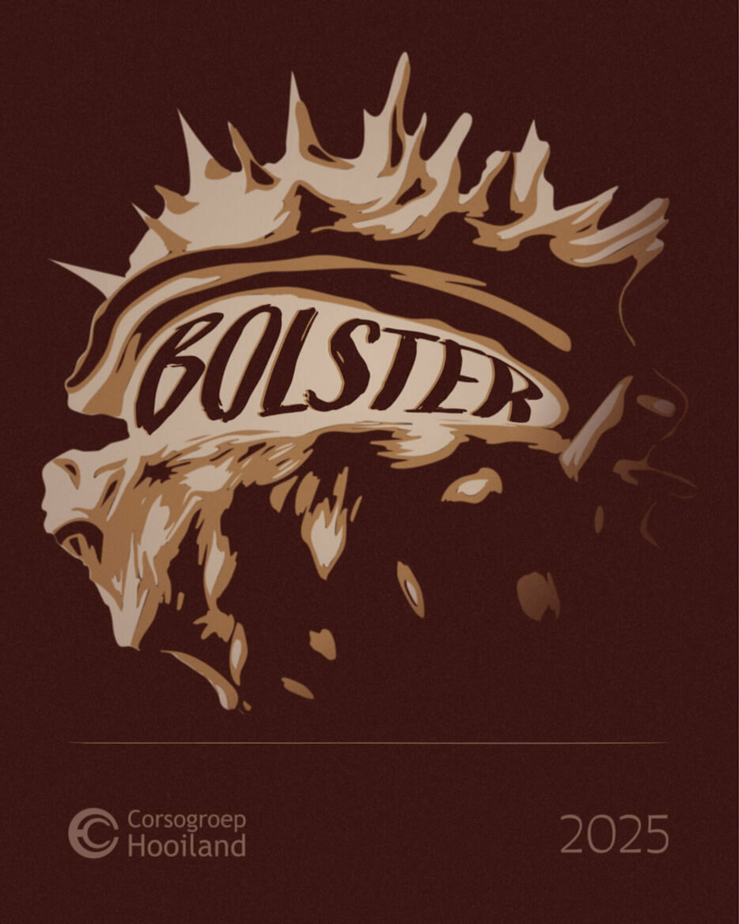 Bolster Ontwerp 2025 Corsogroep Hooiland