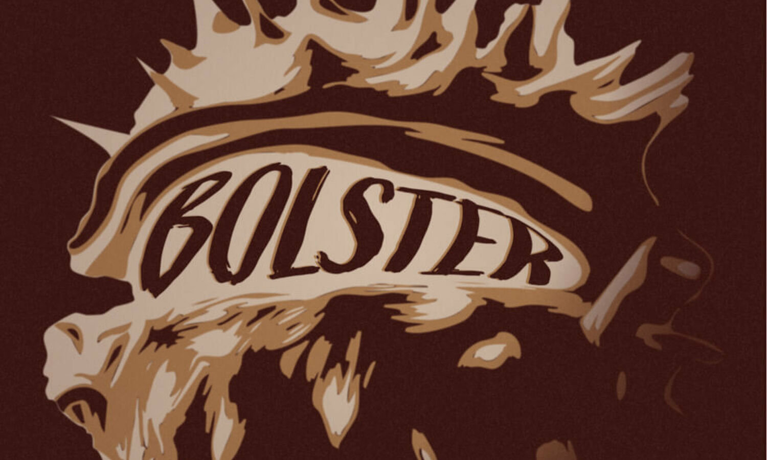 Bolster Ontwerp 2025 Corsogroep Hooiland