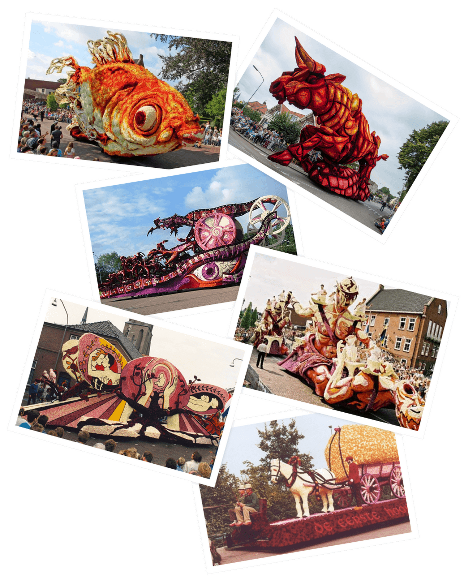 Hooiland collage 2023 hero historie