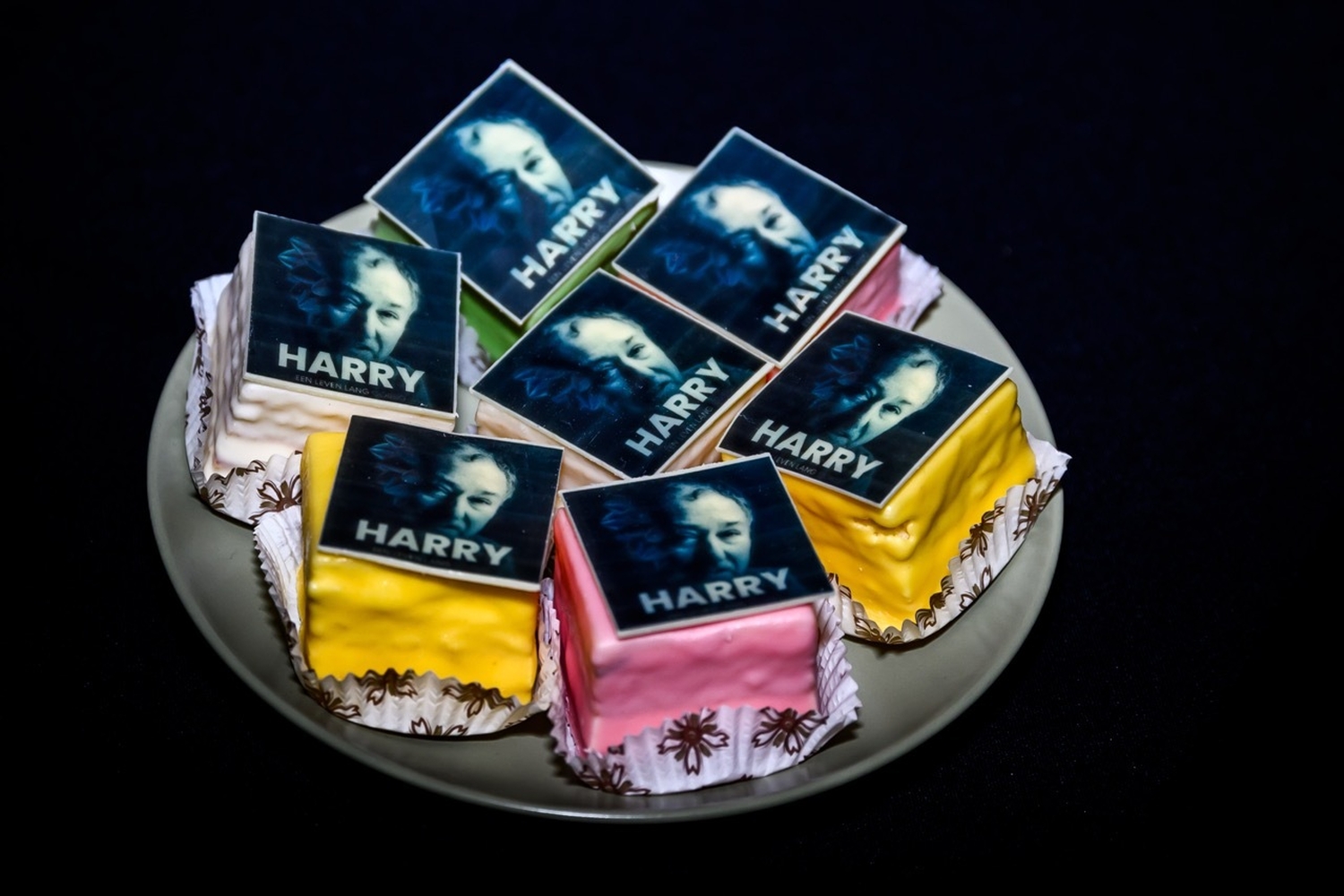 Harry vd Broek Boek JVT 4615 groot