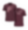 Shirt 2025 website