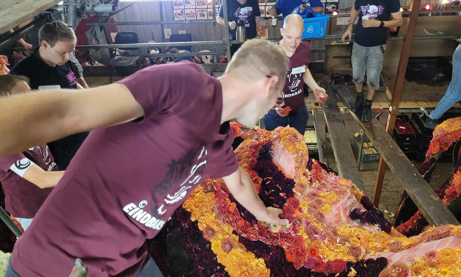 Laatste Weekend Hooiland 1