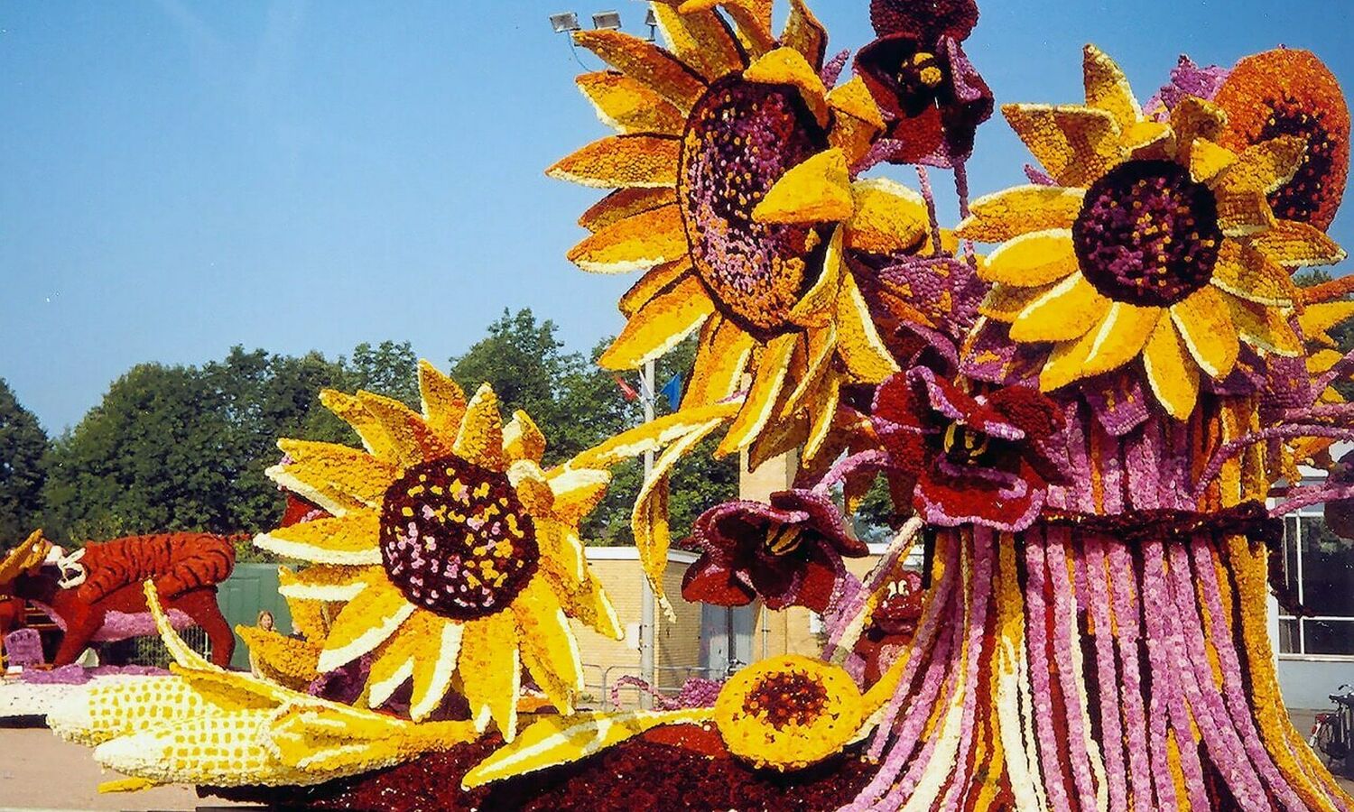 1999 Bouquet du Soleil Corsogroep Hooiland