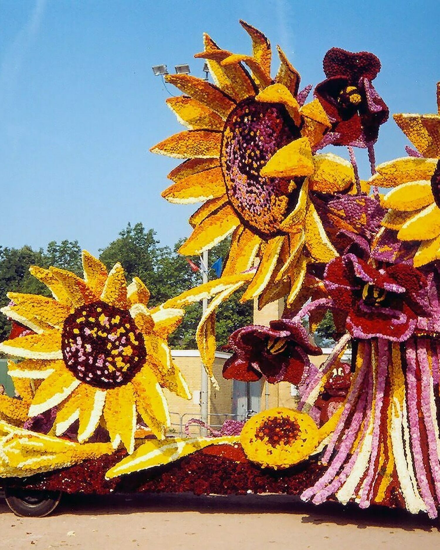 1999 Bouquet du Soleil Corsogroep Hooiland