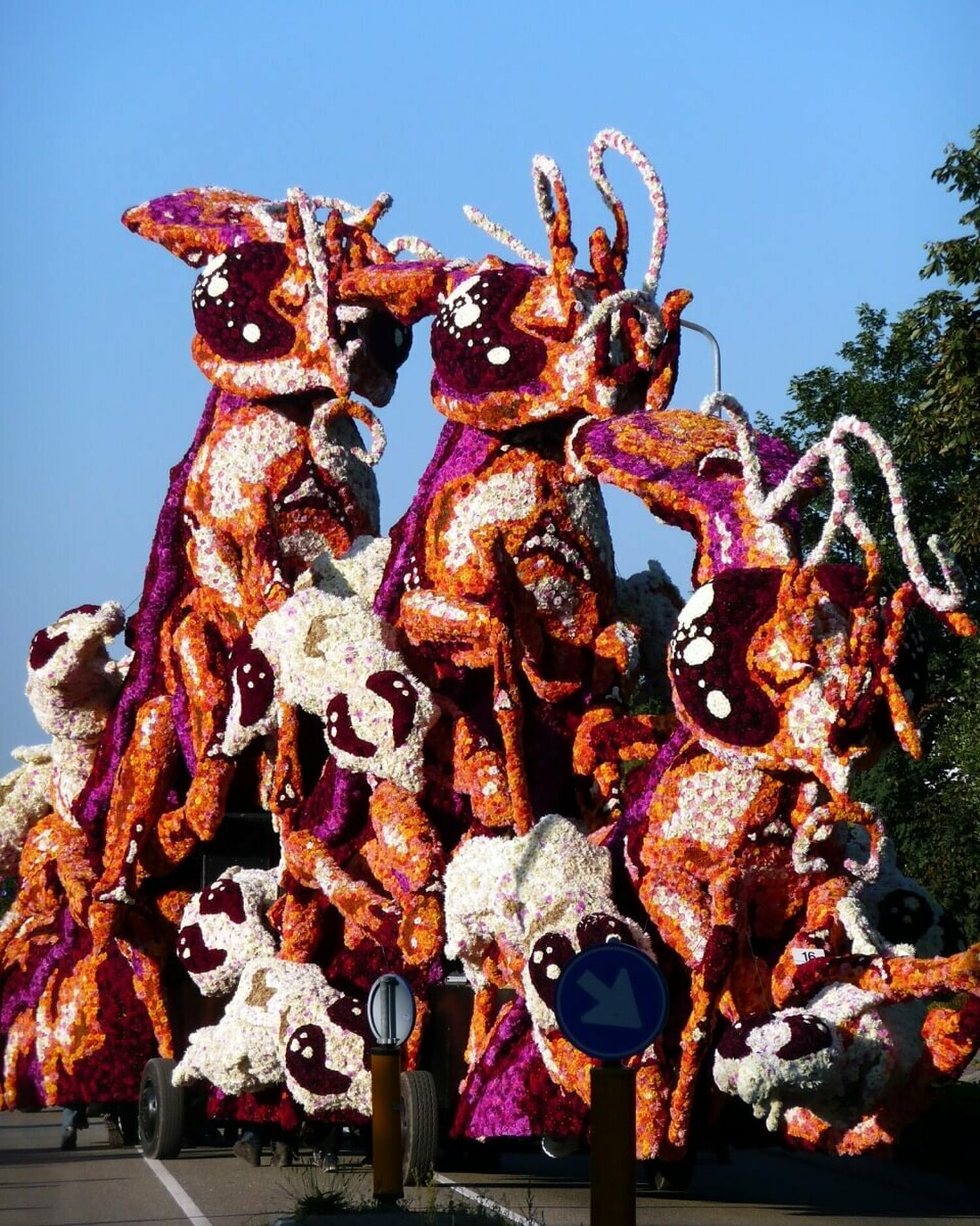 2008 Gadverdamme Corsogroep Hooiland