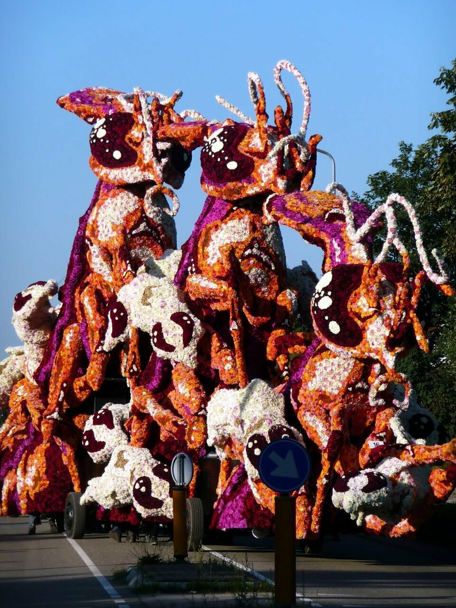 2008 Gadverdamme Corsogroep Hooiland