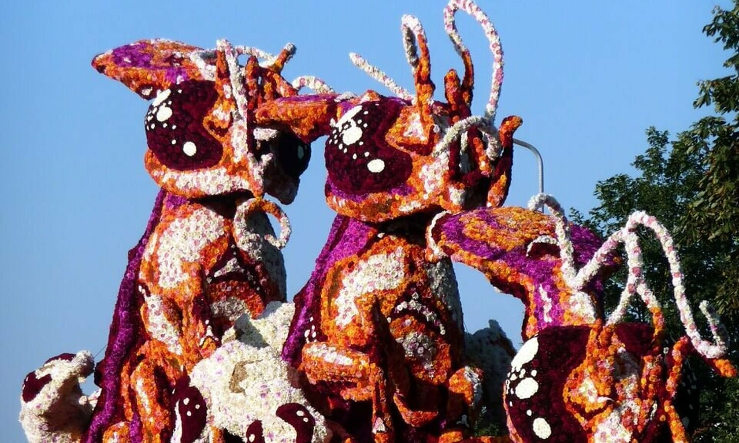 2008 Gadverdamme Corsogroep Hooiland