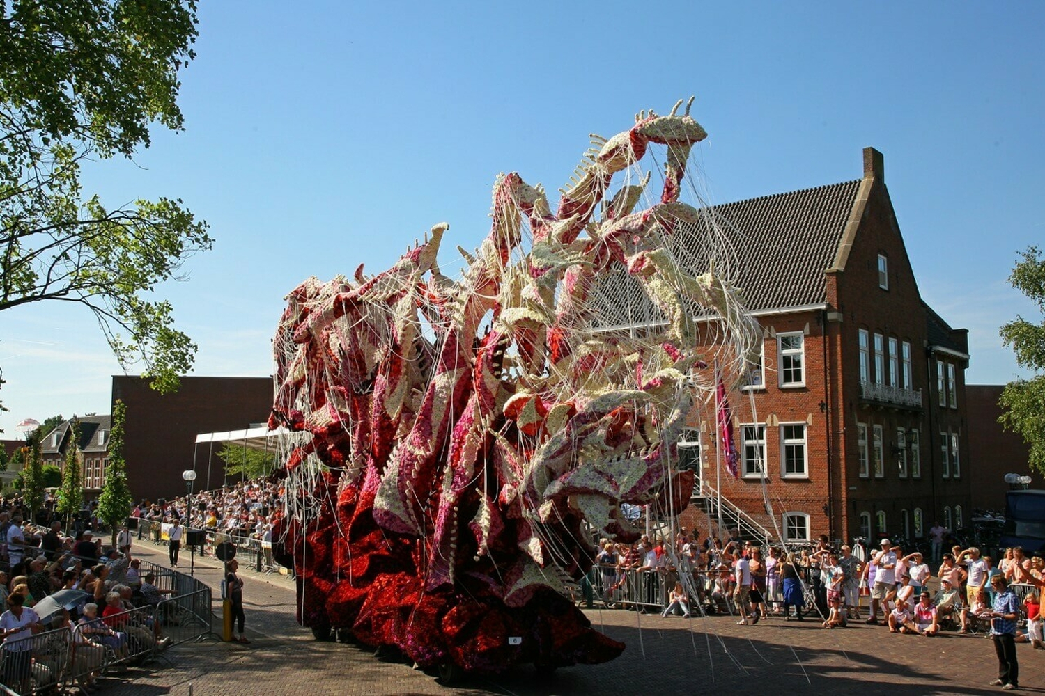 2012 Tarantula Corsogroep Hooiland