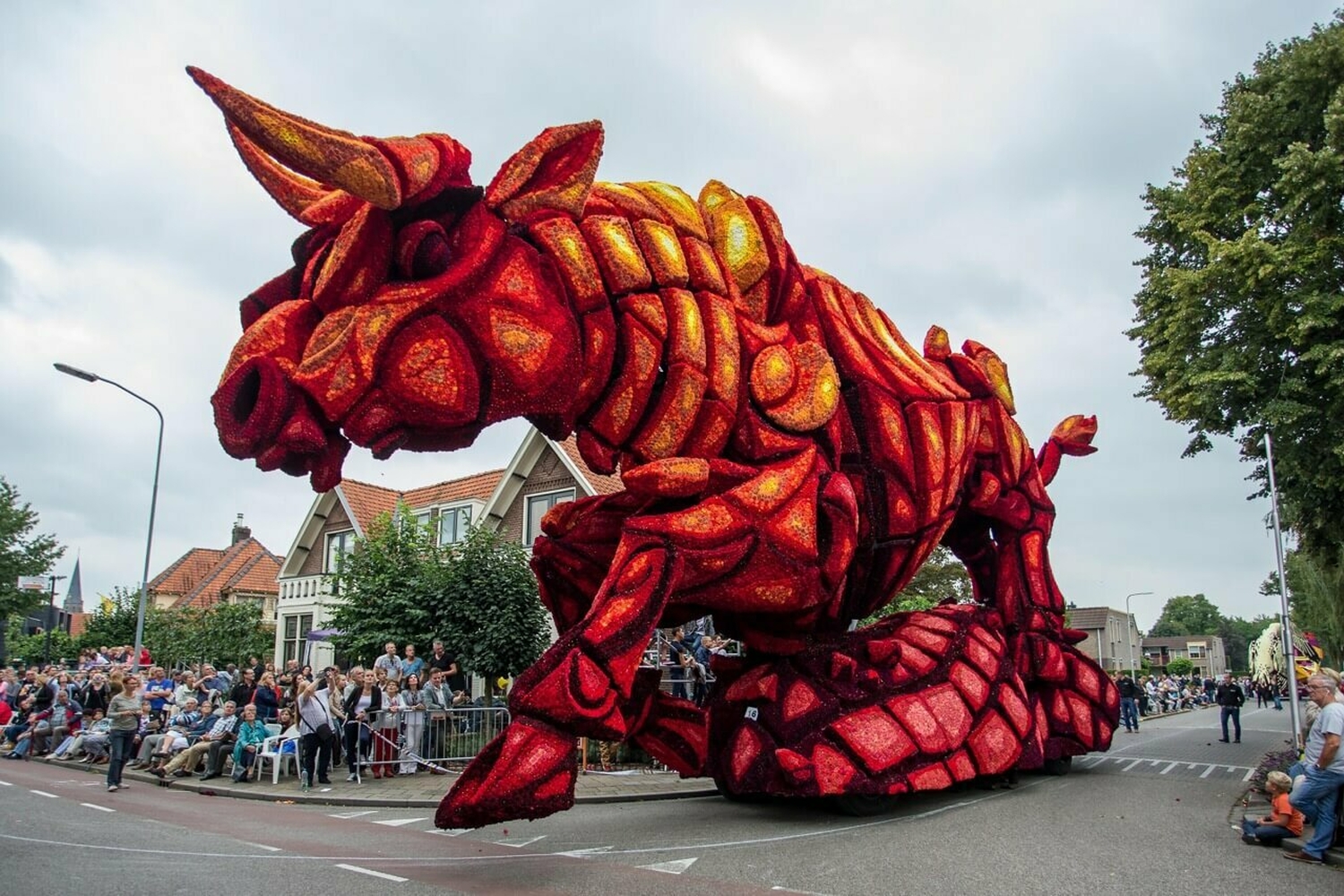 2015 Losgeslagen Corsogroep Hooiland