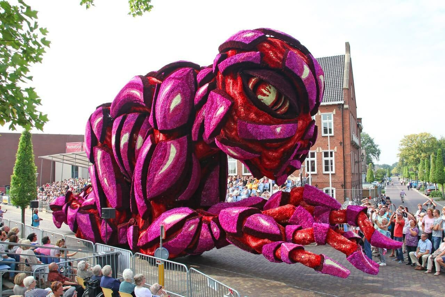 2016 Buitenaards Corsogroep Hooiland