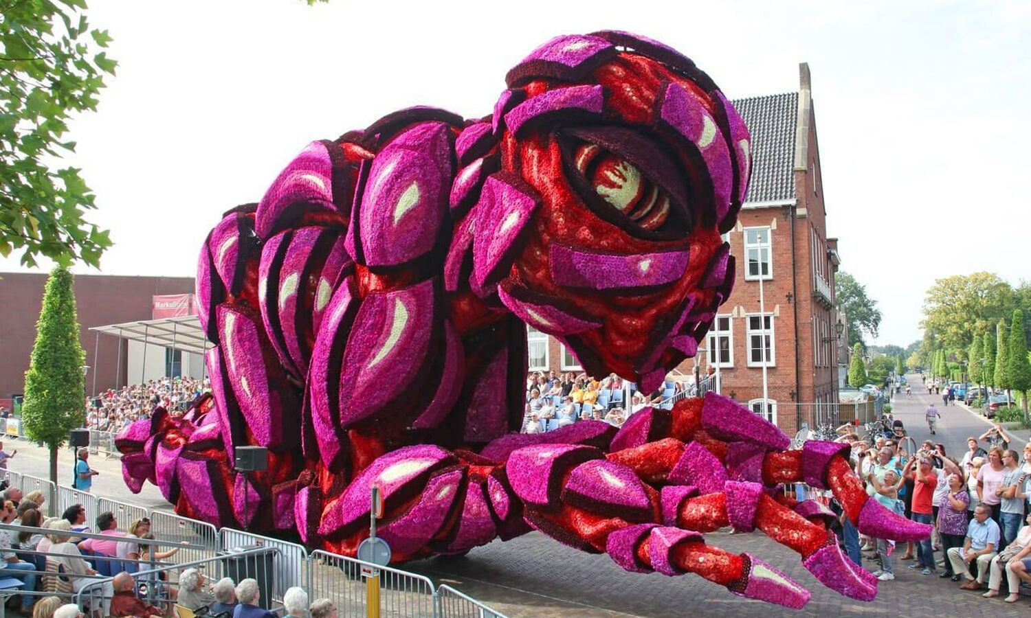 2016 Buitenaards Corsogroep Hooiland