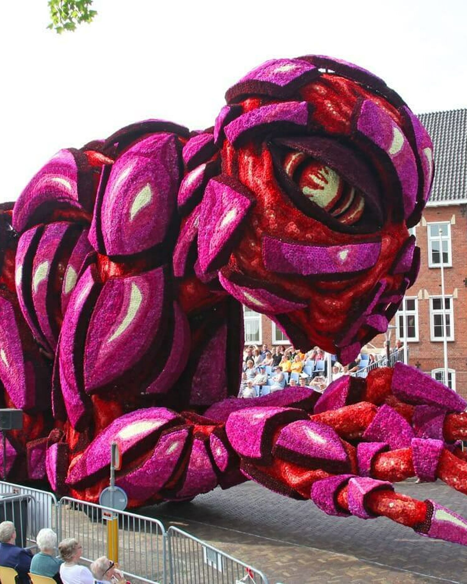 2016 Buitenaards Corsogroep Hooiland