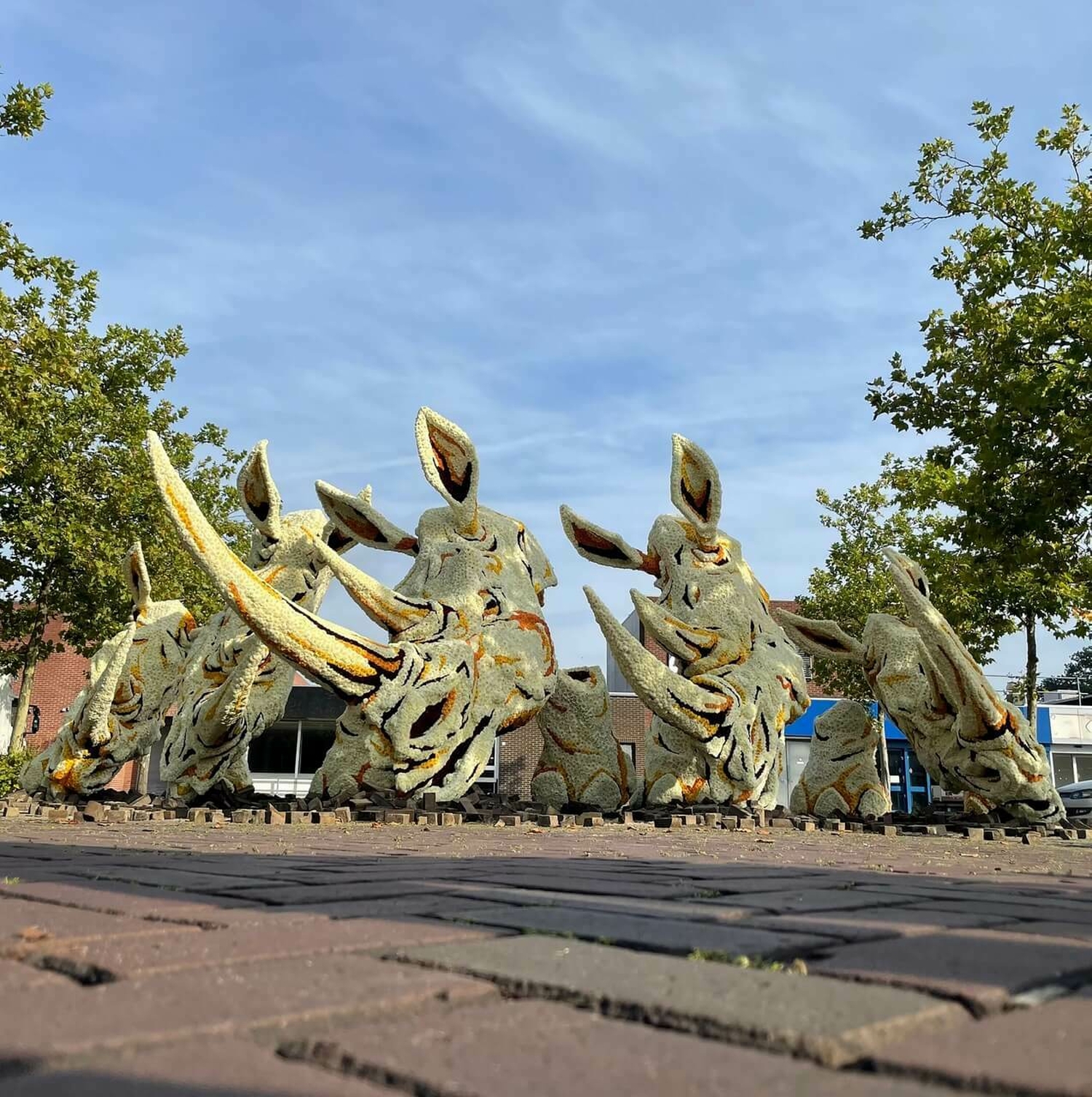 2021 Ravage DKR Corsogroep Hooiland