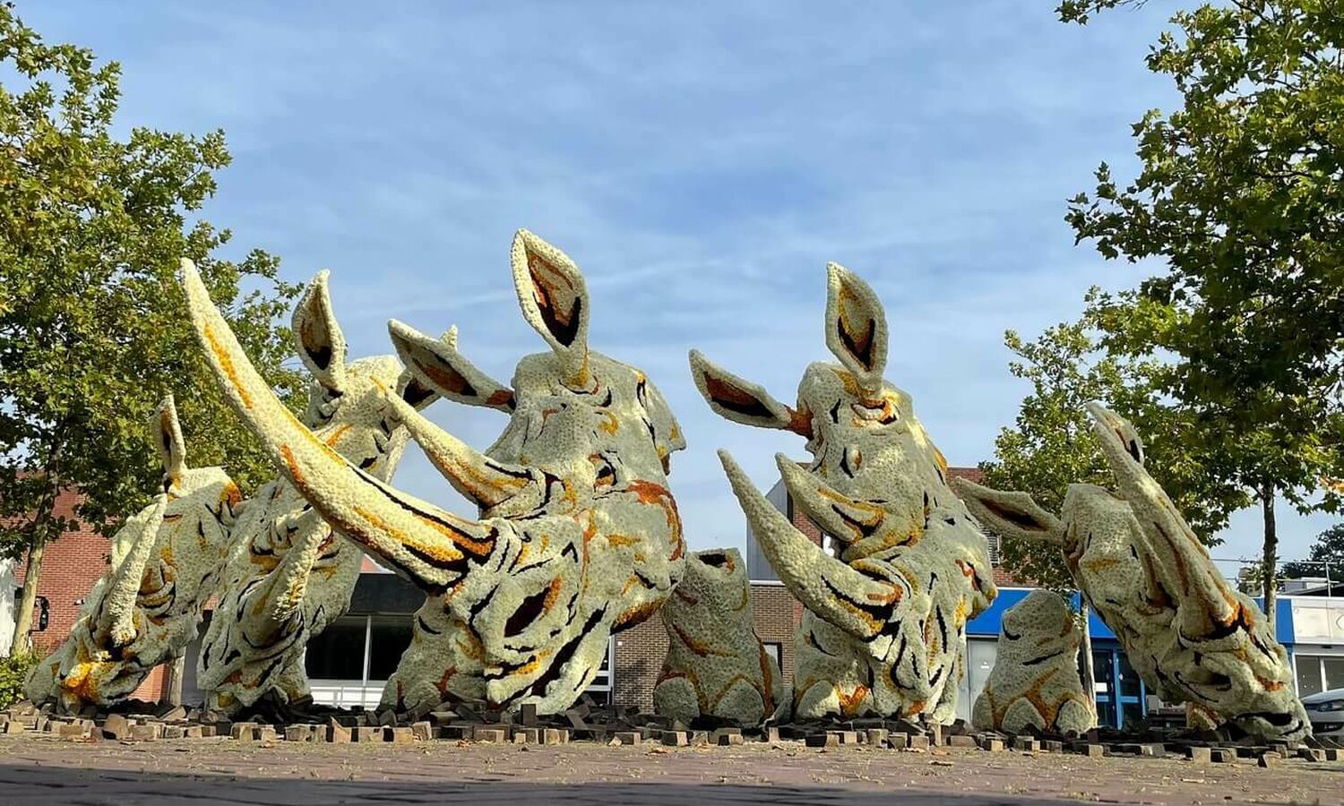 2021 Ravage DKR Corsogroep Hooiland