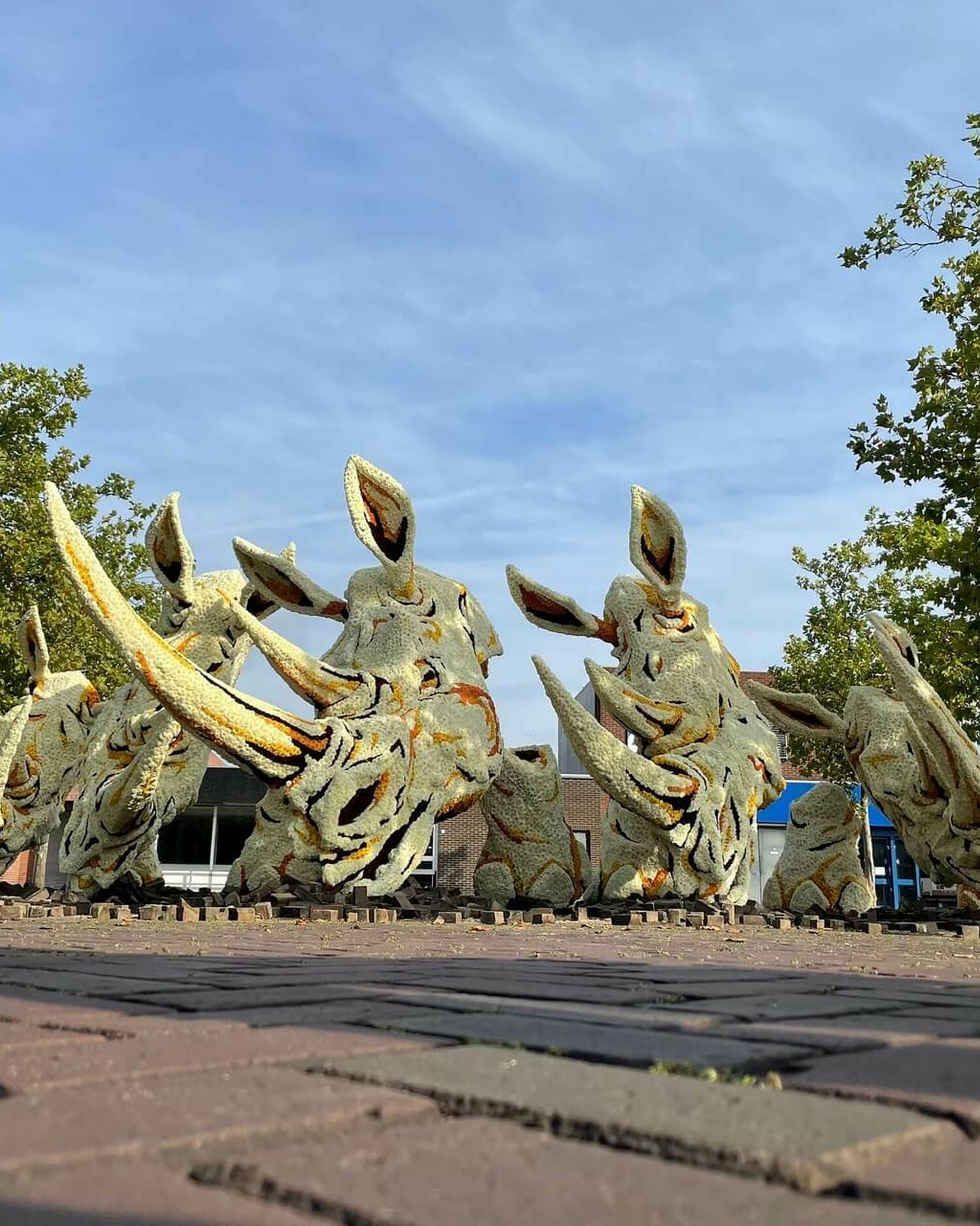 2021 Ravage DKR Corsogroep Hooiland