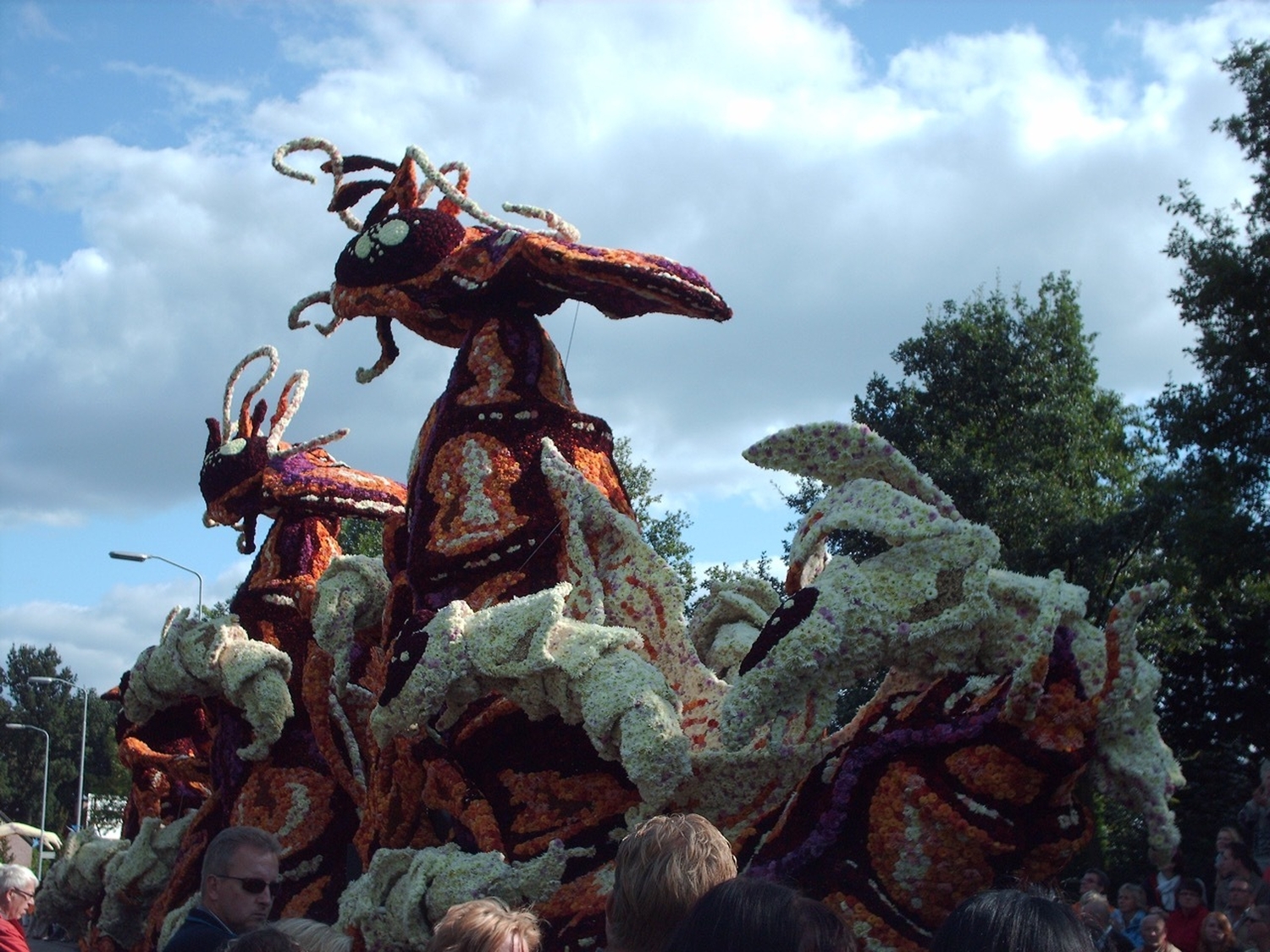 2008 gadverdamme foto1