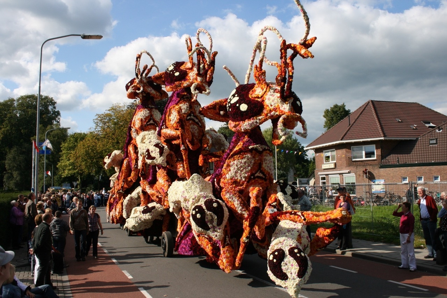 2008 gadverdamme foto2