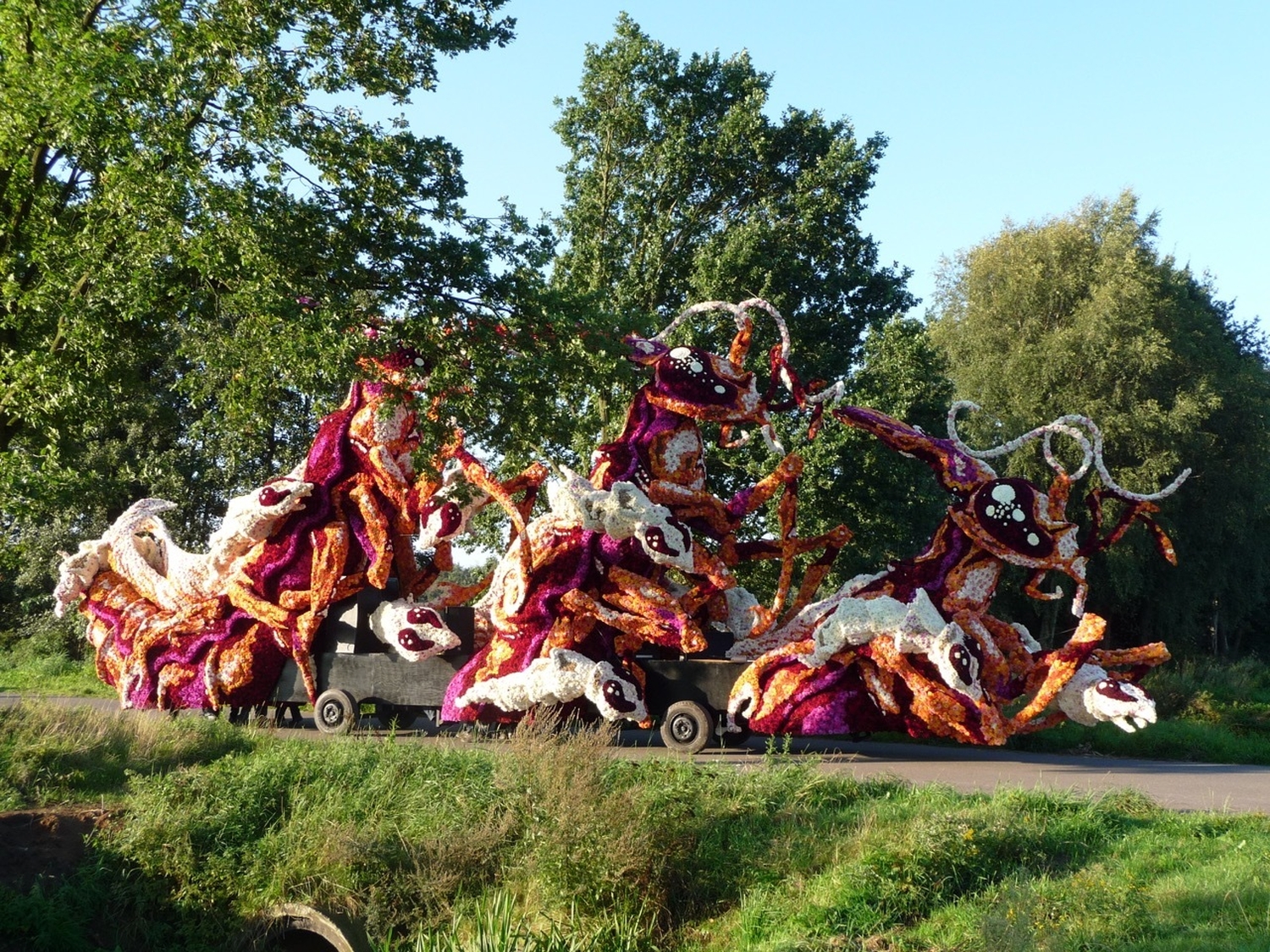 2008 gadverdamme foto3