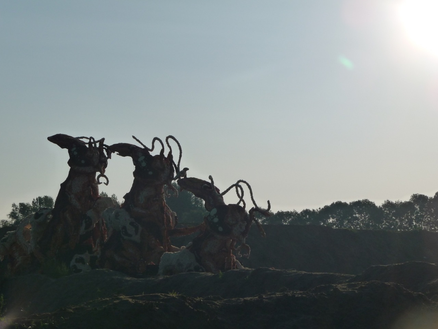 2008 gadverdamme foto5