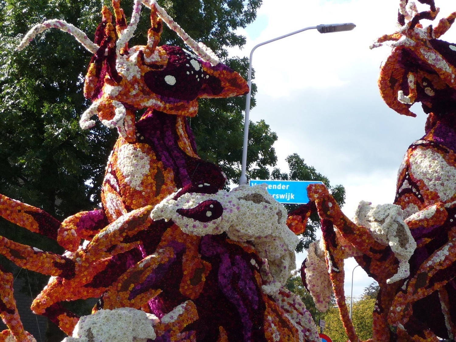 2008 gadverdamme foto6