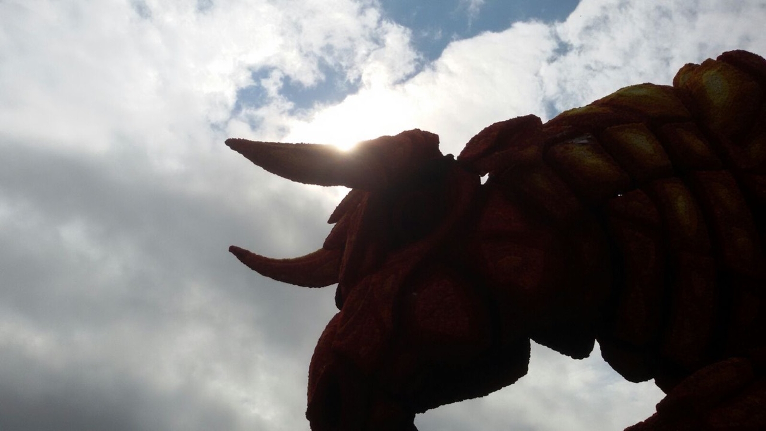 2015 losgeslagen foto12