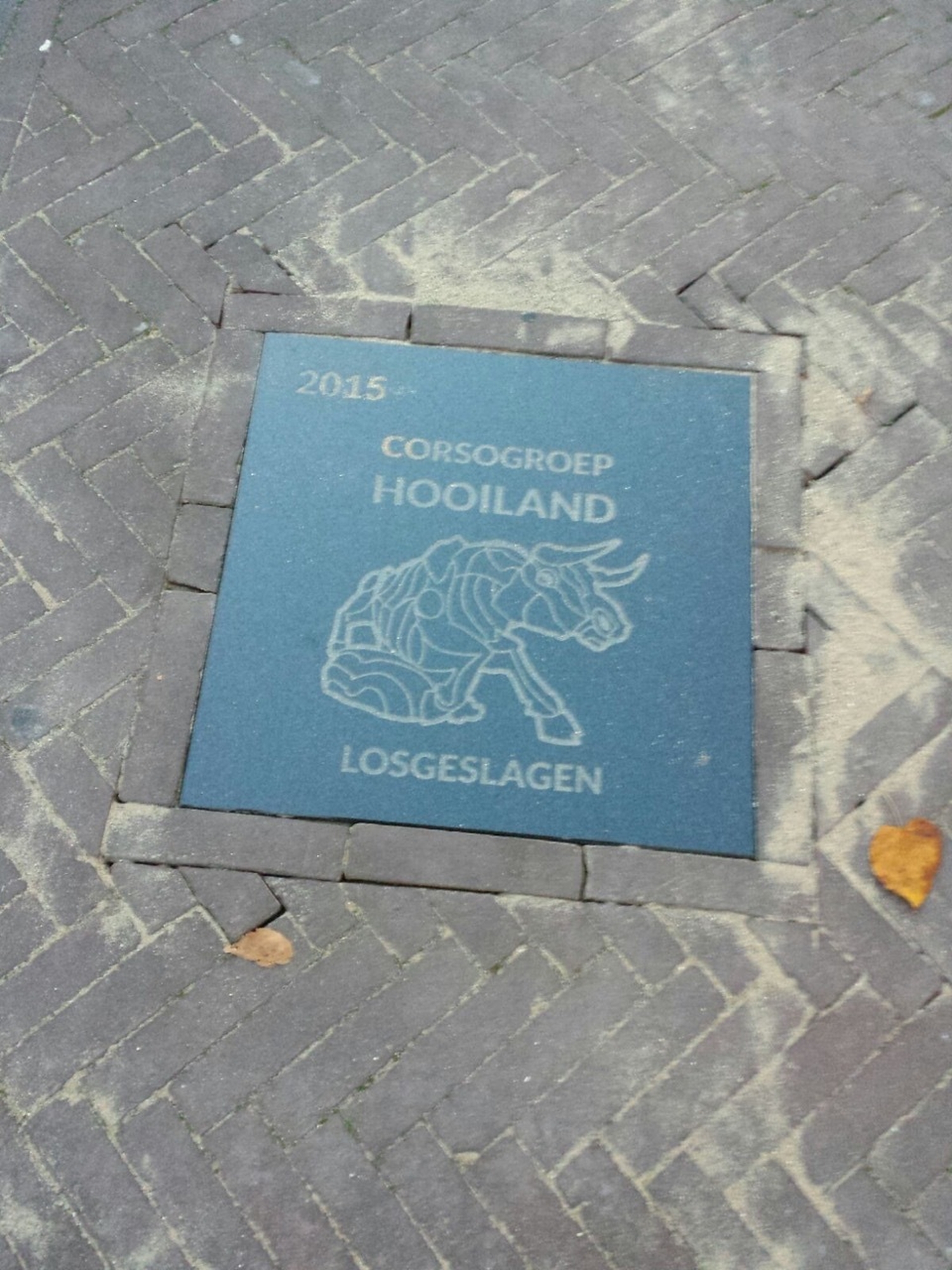 2015 losgeslagen foto13