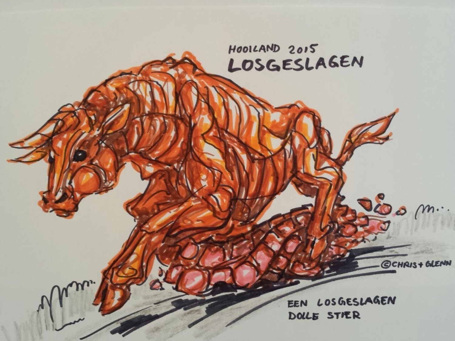 2015 losgeslagen foto19