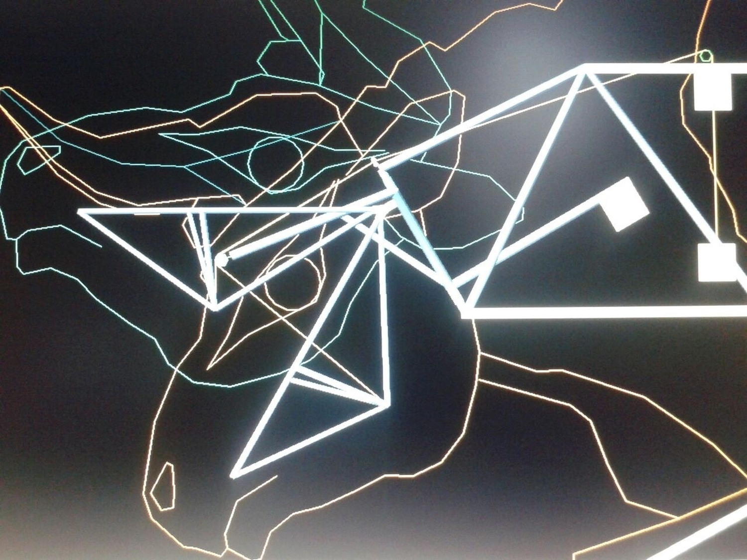 2015 losgeslagen foto20