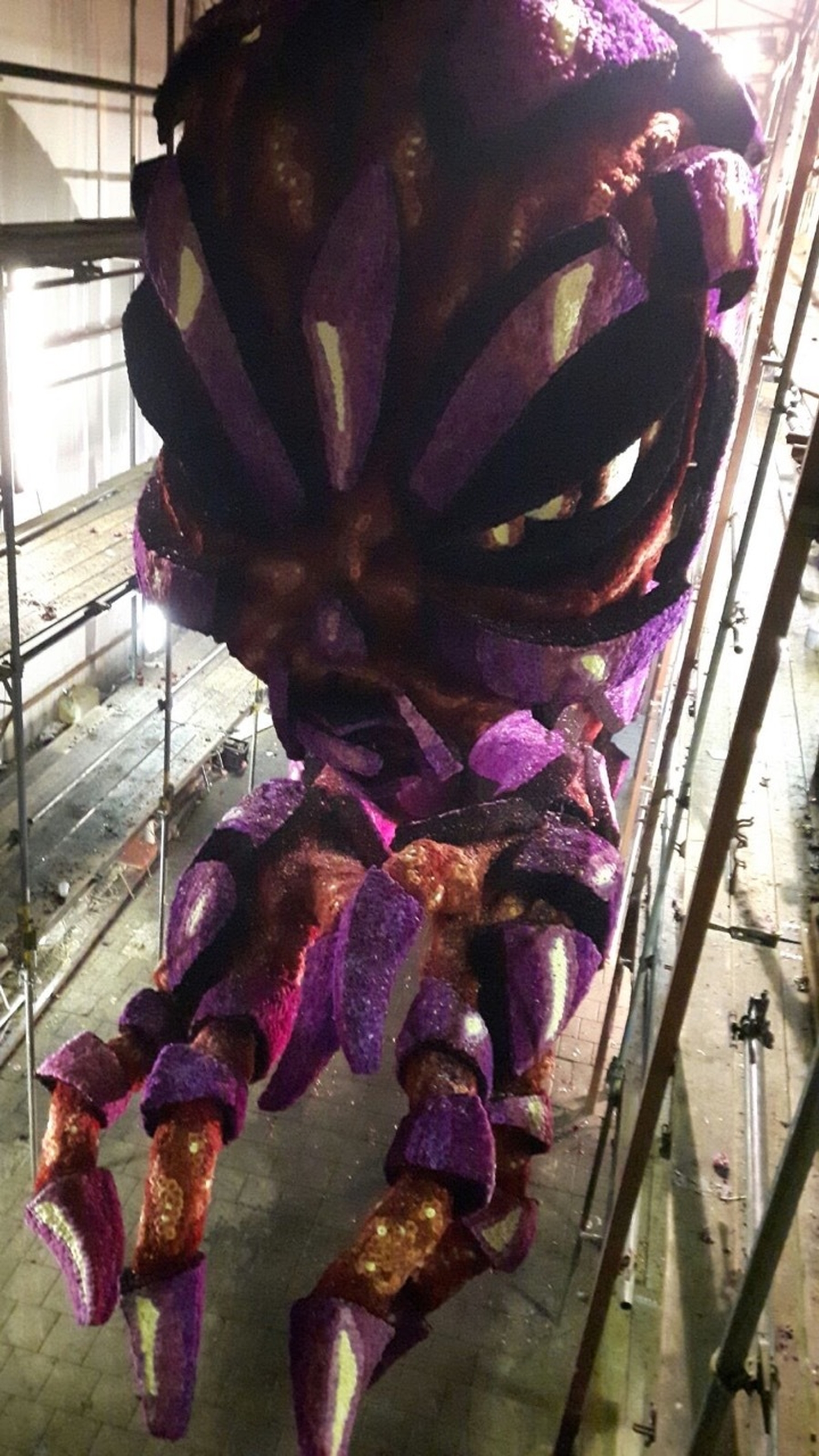 2016 Buitenaards foto5