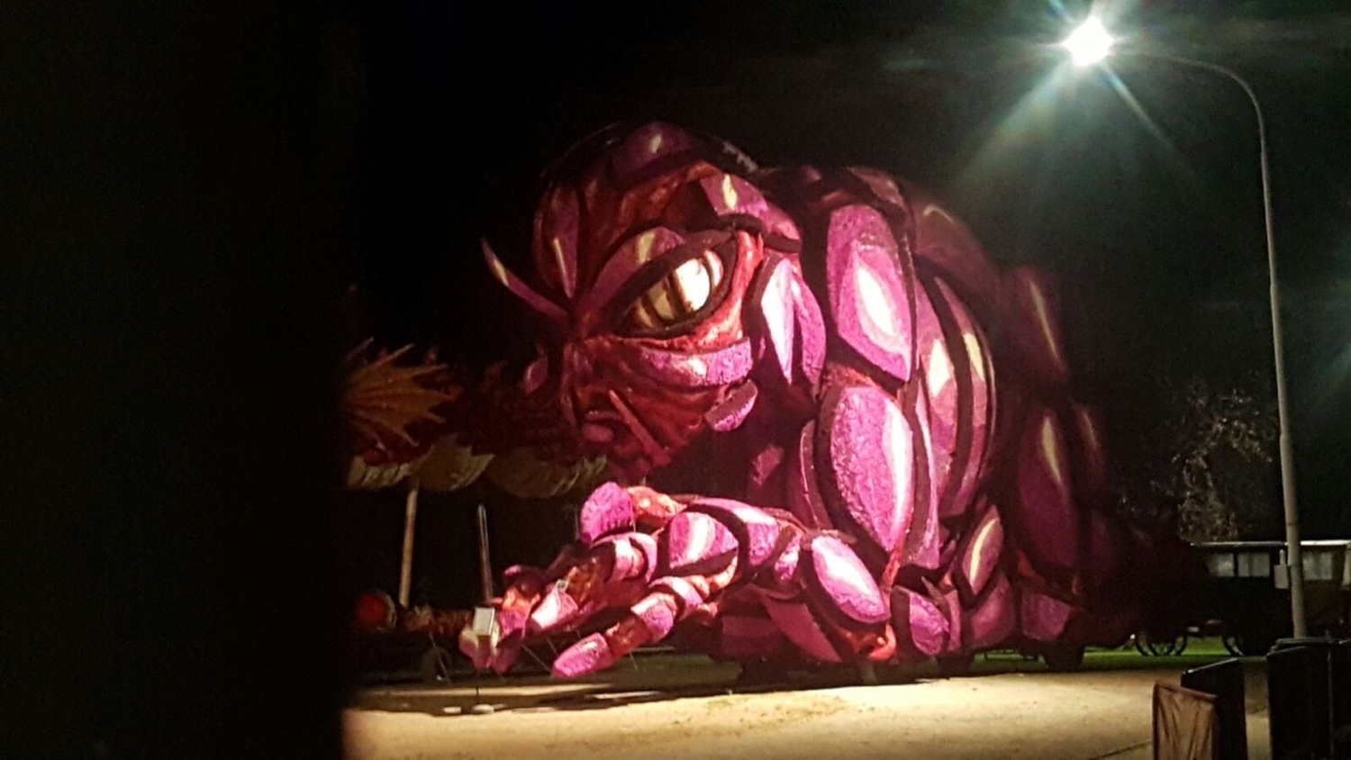 2016 Buitenaards foto12