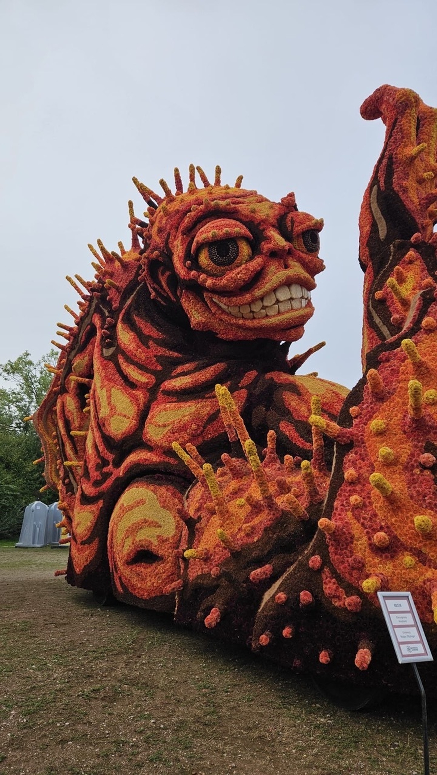 Bolster Hooiland 2025 15 groot