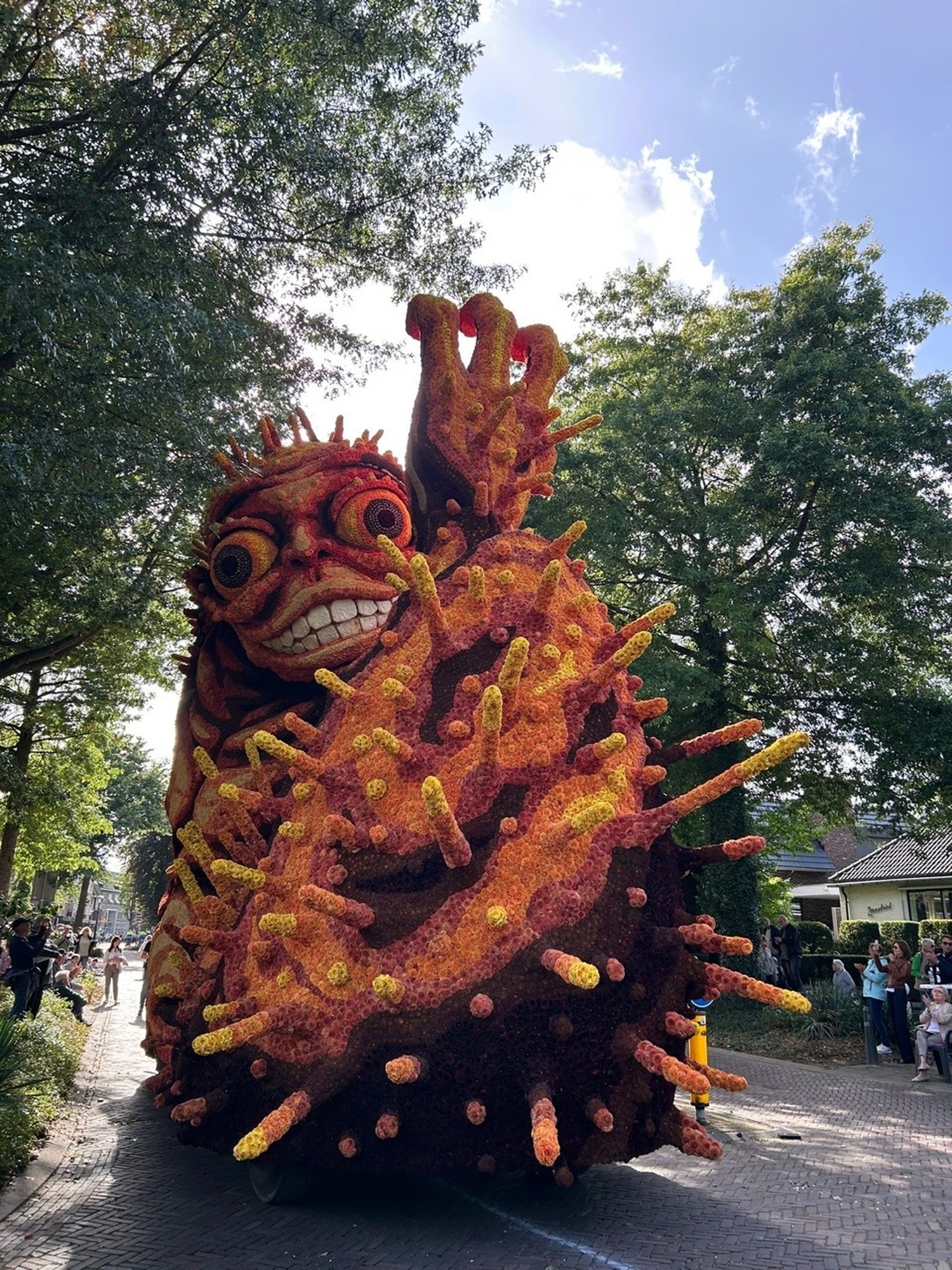 Bolster Hooiland 2025 5 groot