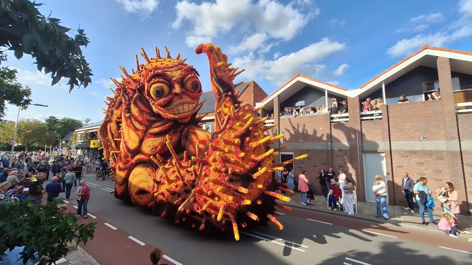 Bolster Hooiland 2025 2 groot