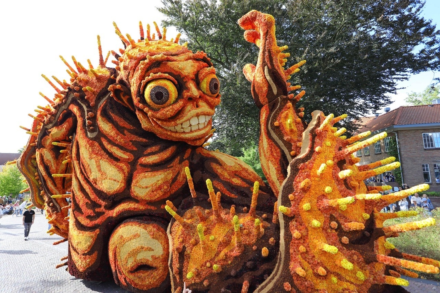 Bolster Hooiland 2025 1 groot