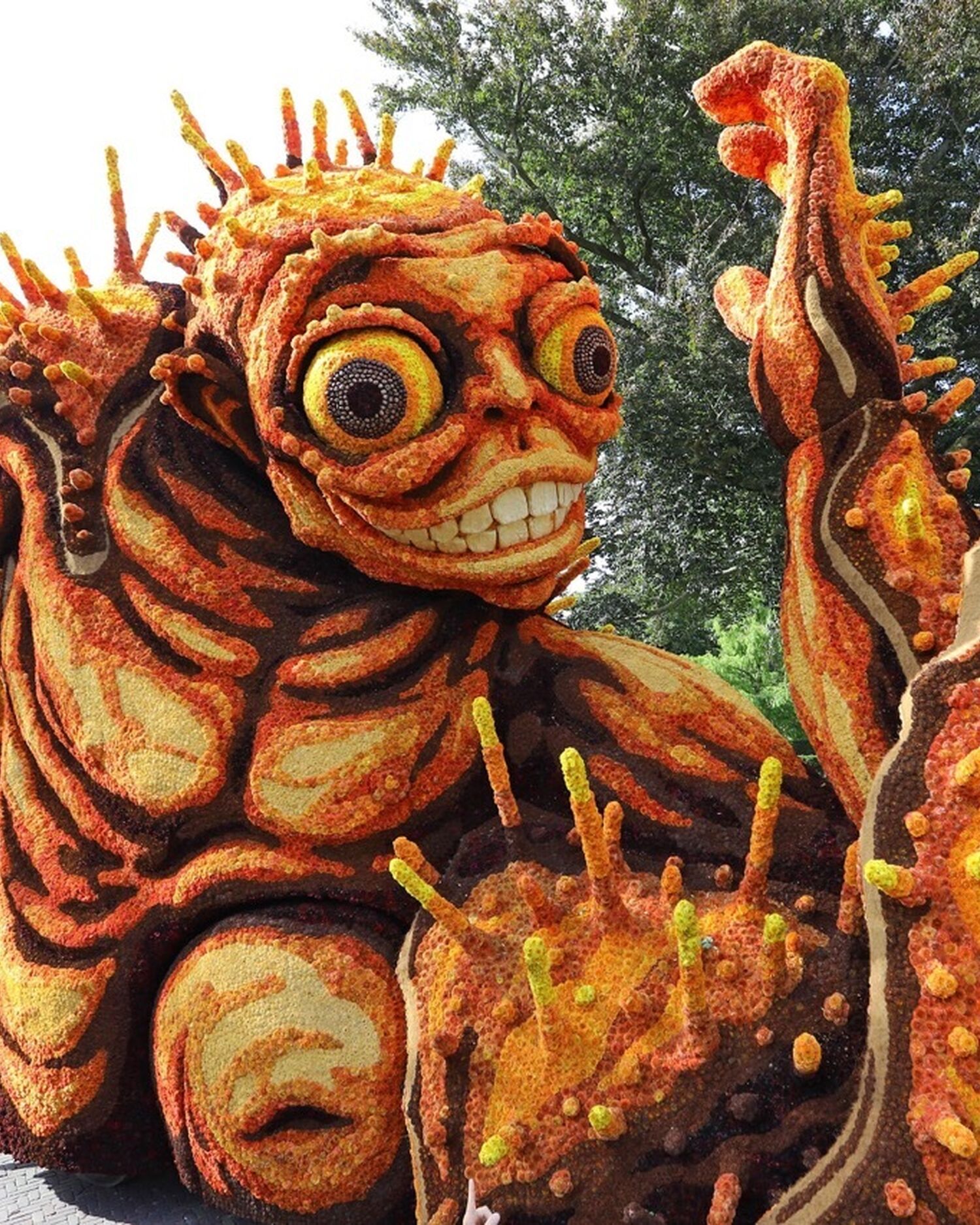 Bolster Hooiland 2025 1 groot