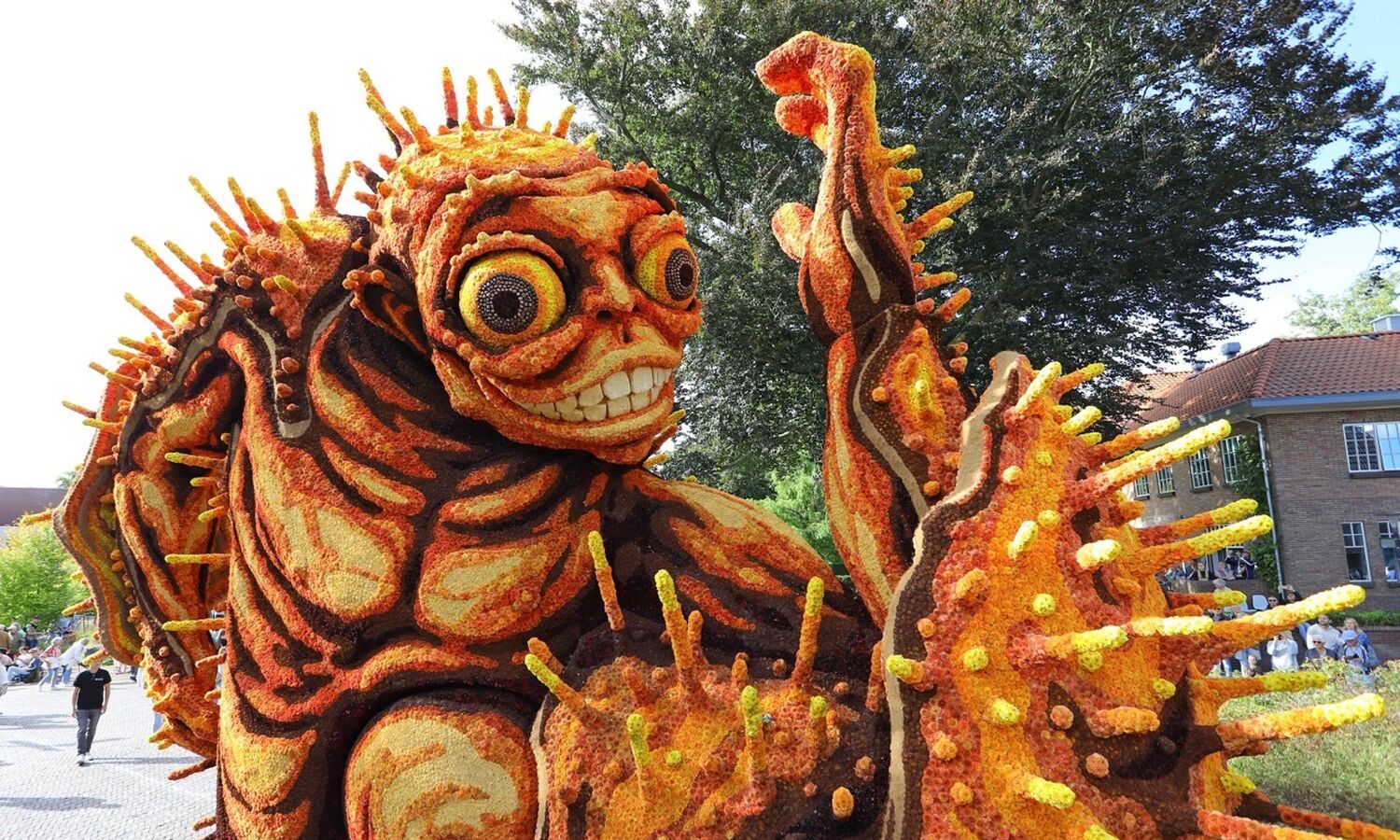 Bolster Hooiland 2025 1 groot