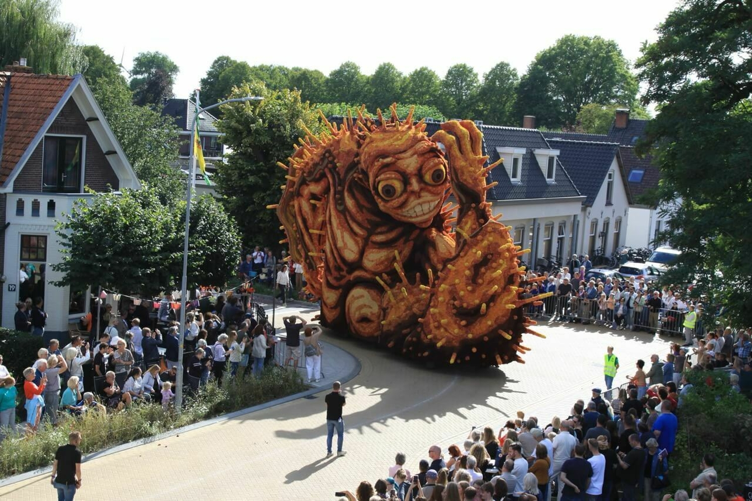 Bolster 1ebocht Hooiland 2025 3 groot