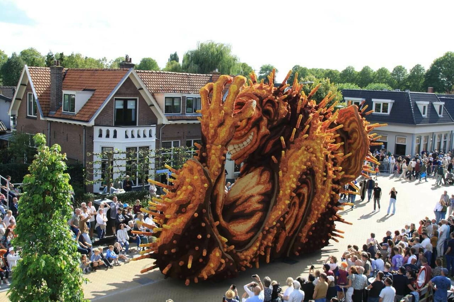 Bolster 1ebocht Hooiland 2025 5 groot