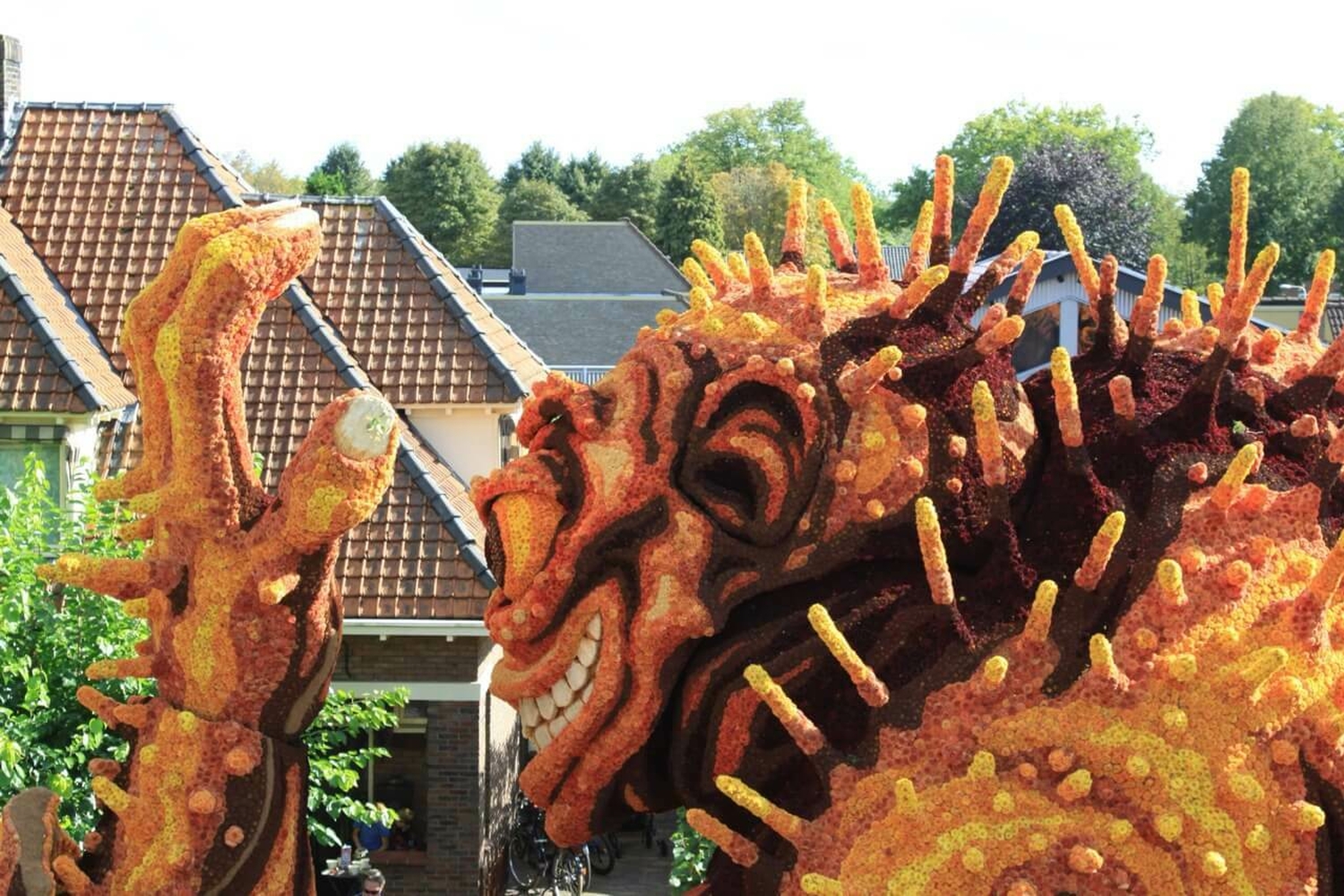 Bolster 1ebocht Hooiland 2025 6 groot