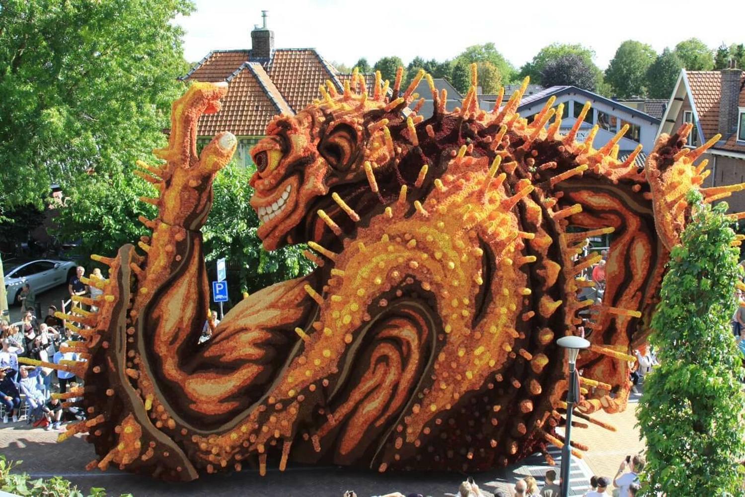 Bolster 1ebocht Hooiland 2025 7 groot