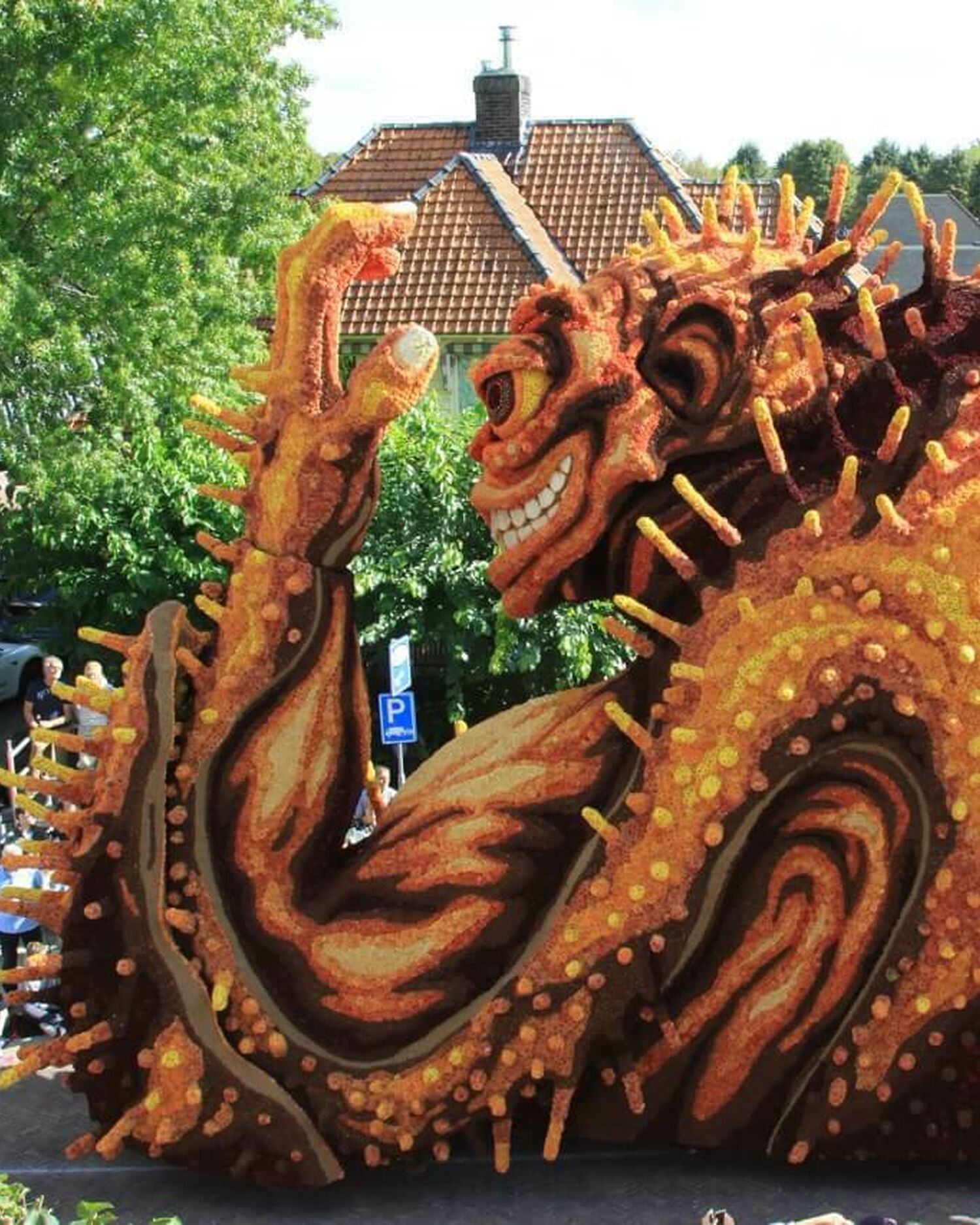 Bolster 1ebocht Hooiland 2025 7 groot