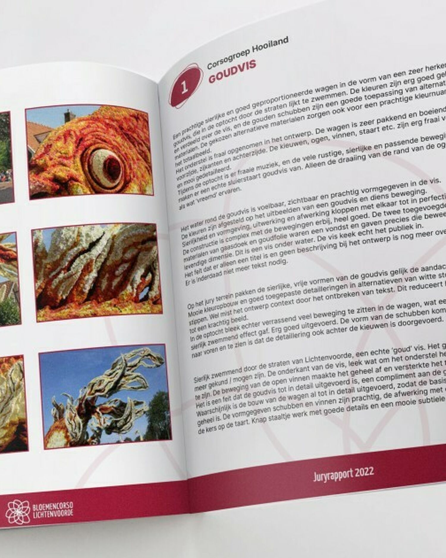 Jurryrapport 2022 Goudvis