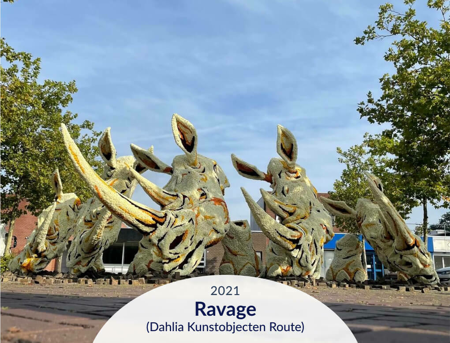 Hooiland carrousel card 40