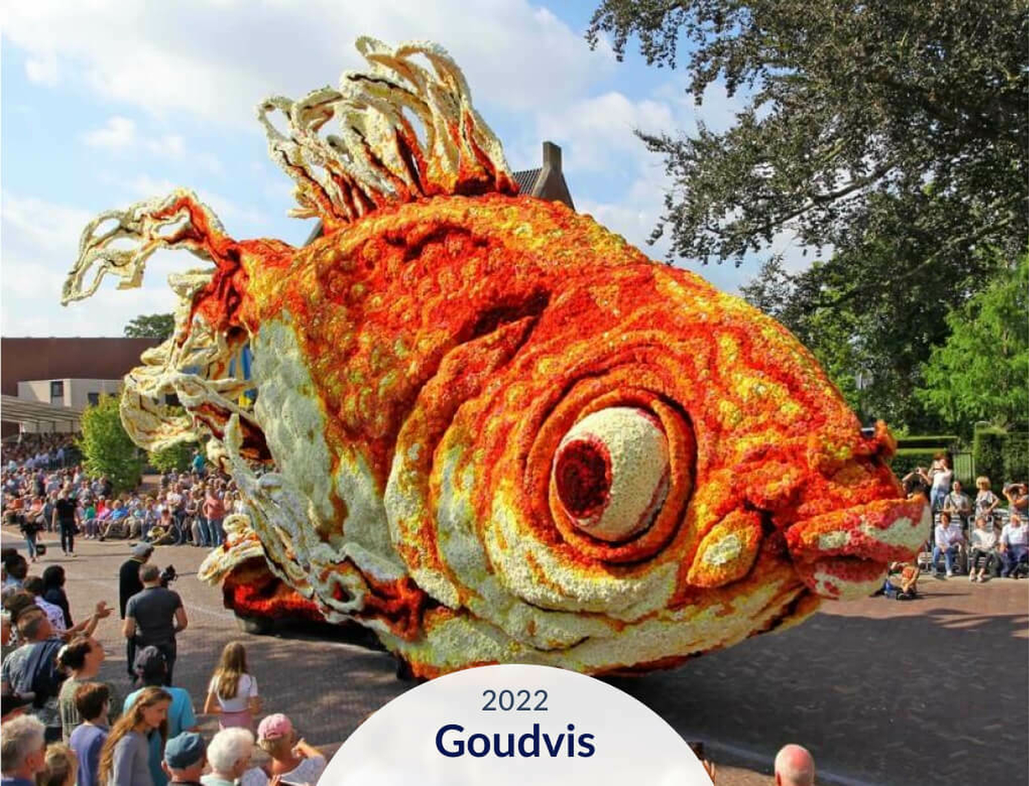 Hooiland carrousel card 41