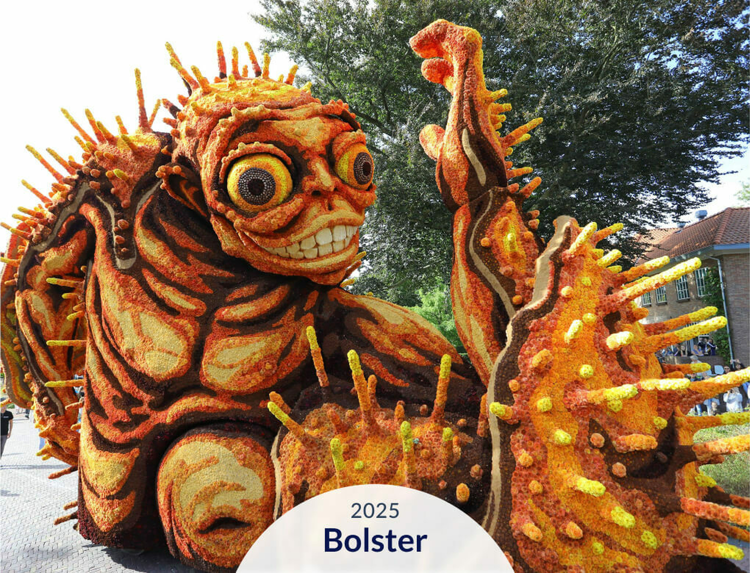 Hooiland carrousel cards44