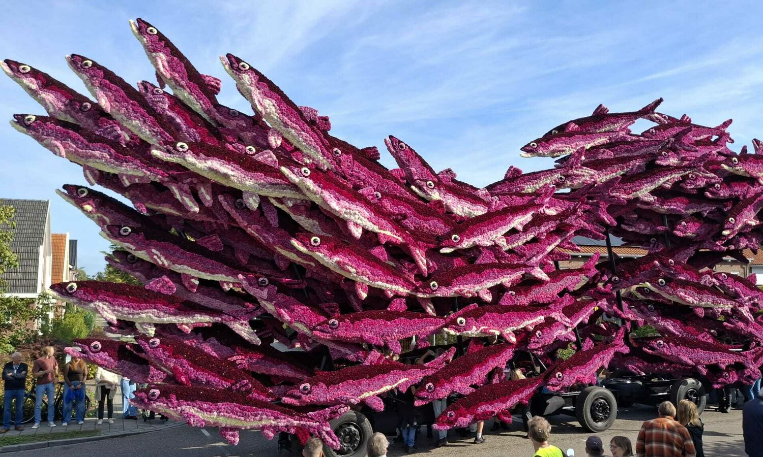 School Hooiland 2026 Bloemencorso Lichtenvoorde 1
